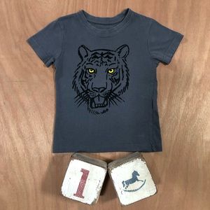 Cotton On Kids Boys Tiger Fuzzy Face Tee Shirt 2t